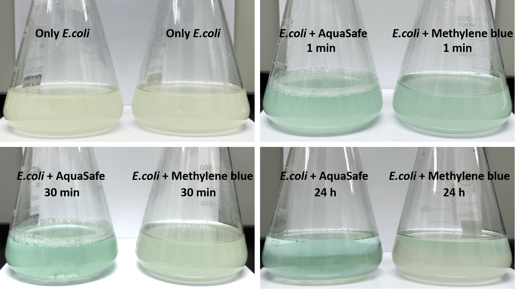 MB decolorization experiment chart