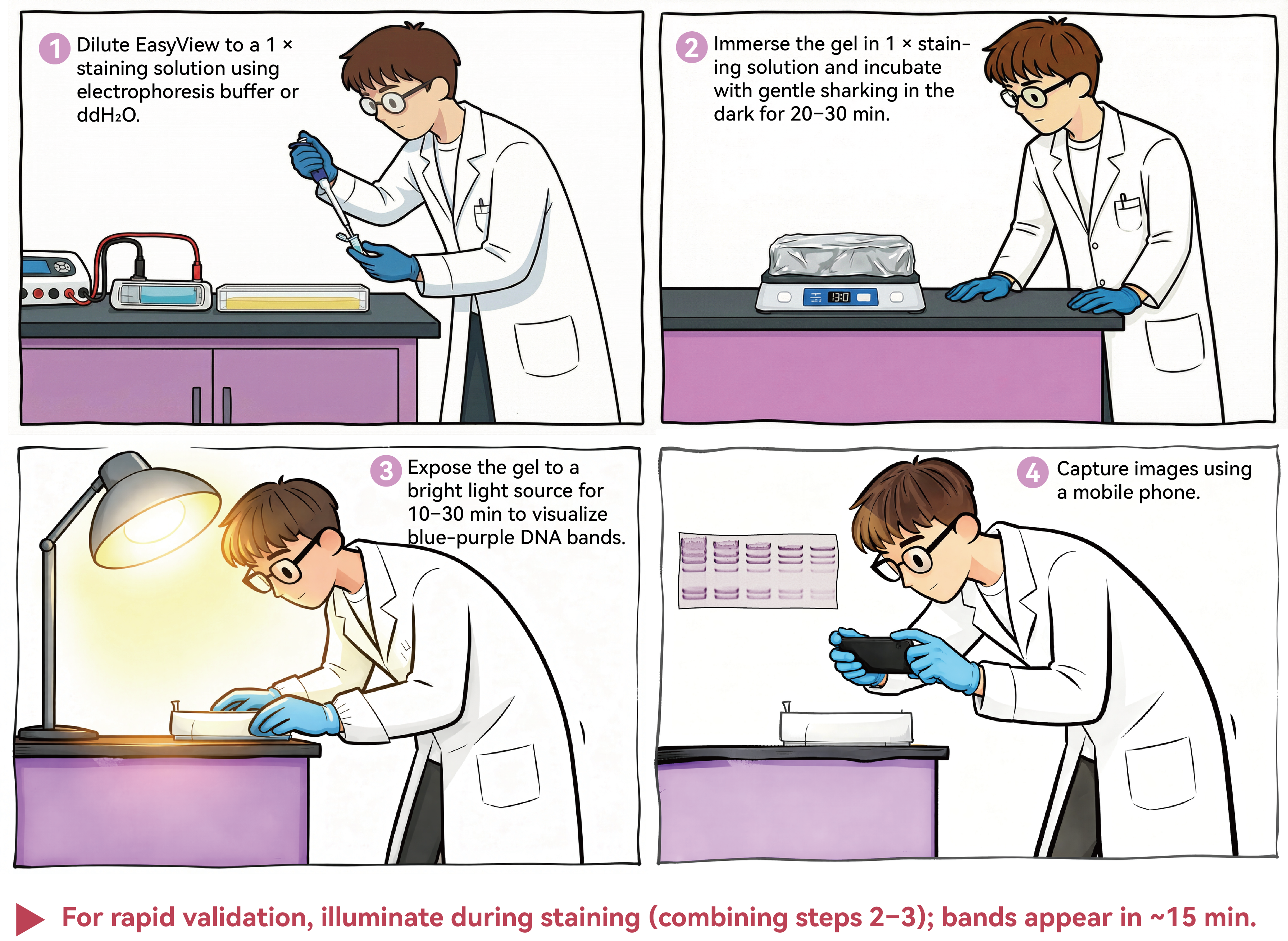 Illustration of the standard operating procedure