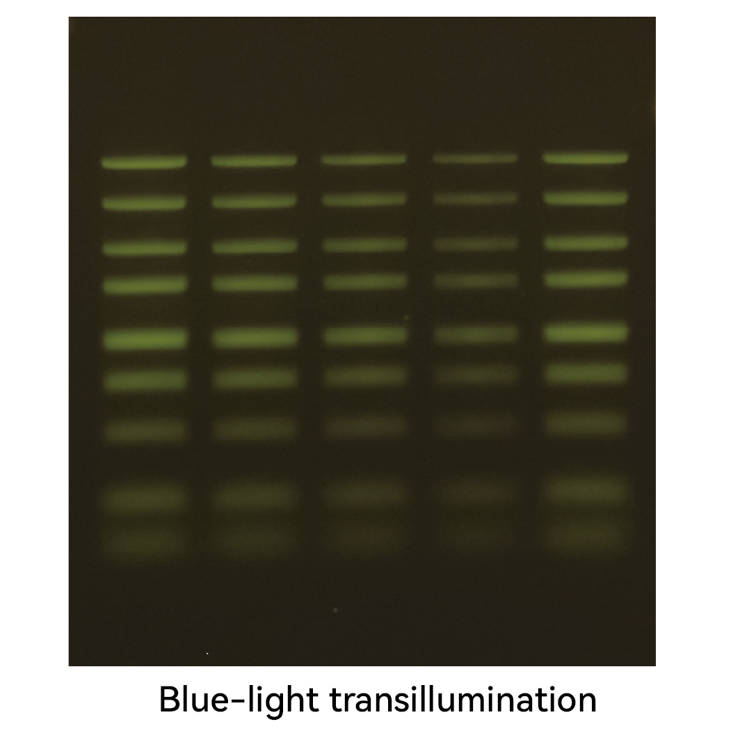 Blue-light transillumination