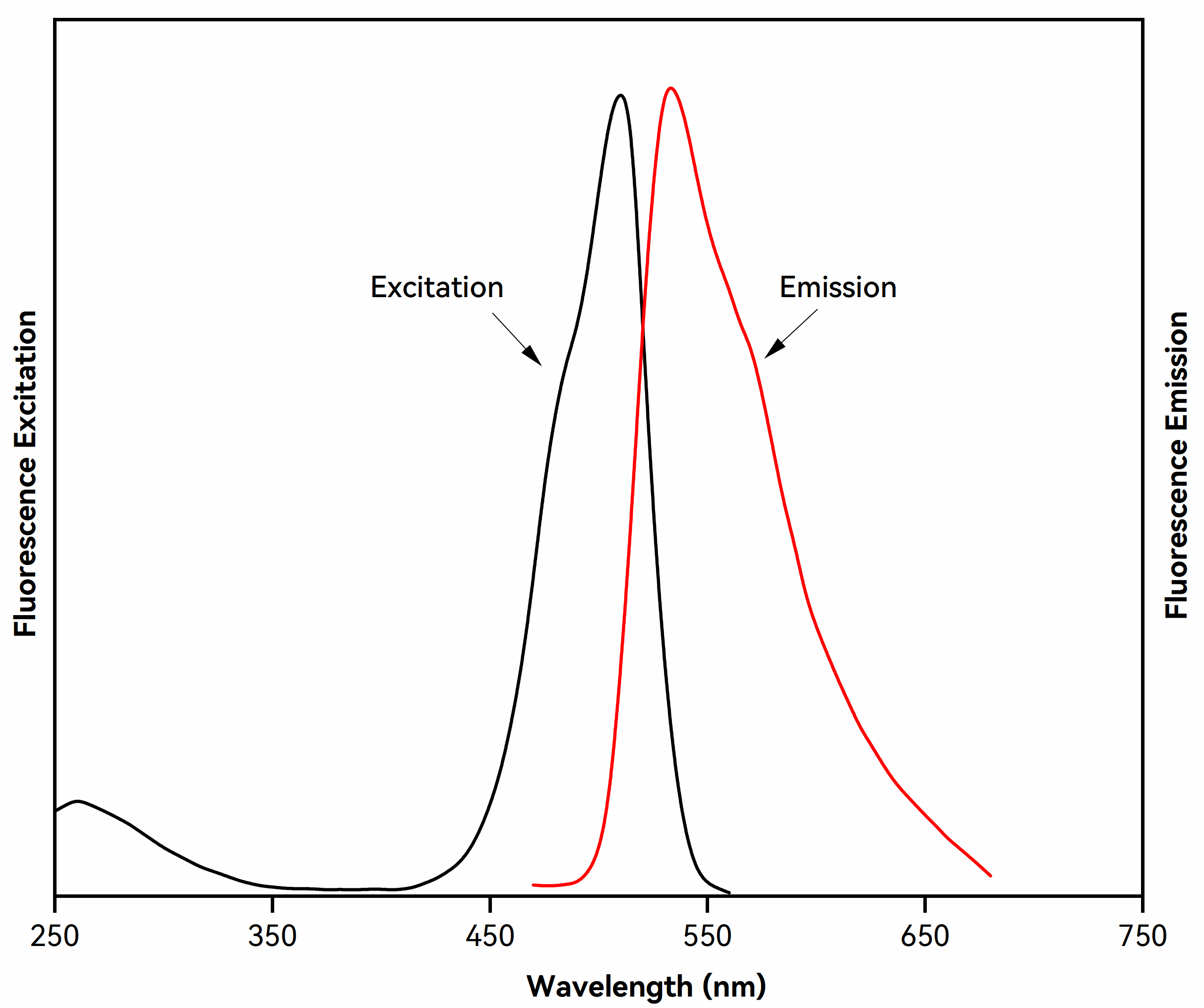 Excitation and emission spectra of dsDNA-bound GelViewer nucleic acid gel stain in TBE Buffer